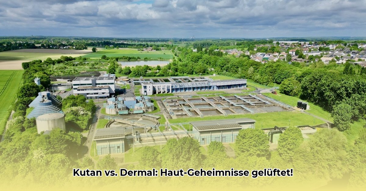 die-haut-betreffend-medizinisch-6-buchstaben